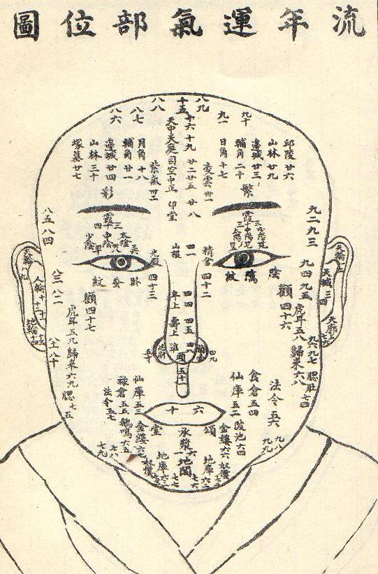 面相圖片3.jpg