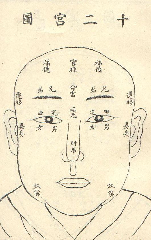 面相圖片2.jpg