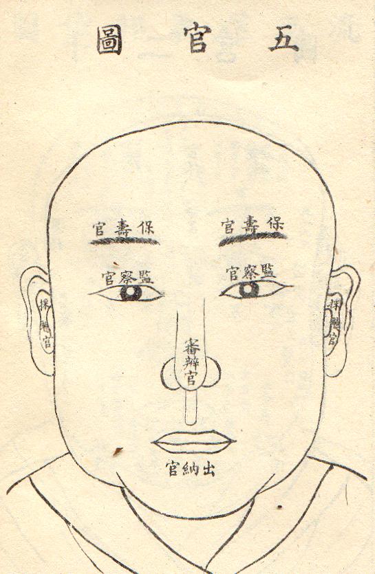 面相圖片5.jpg