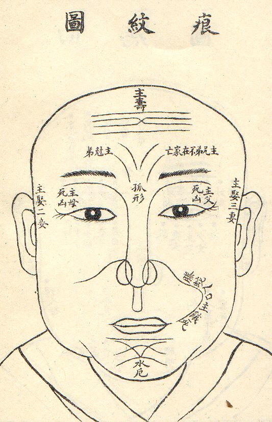 面相圖片6.jpg
