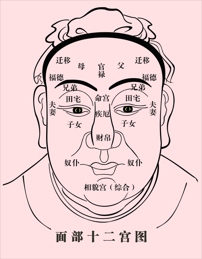 面部十二宫.jpeg